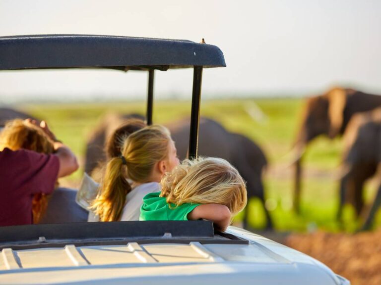 Family safari in Tanzania