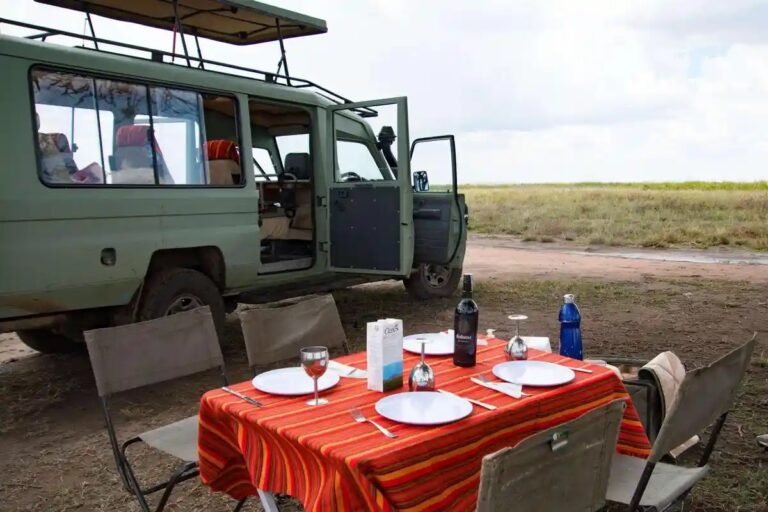 Tanzania game drive