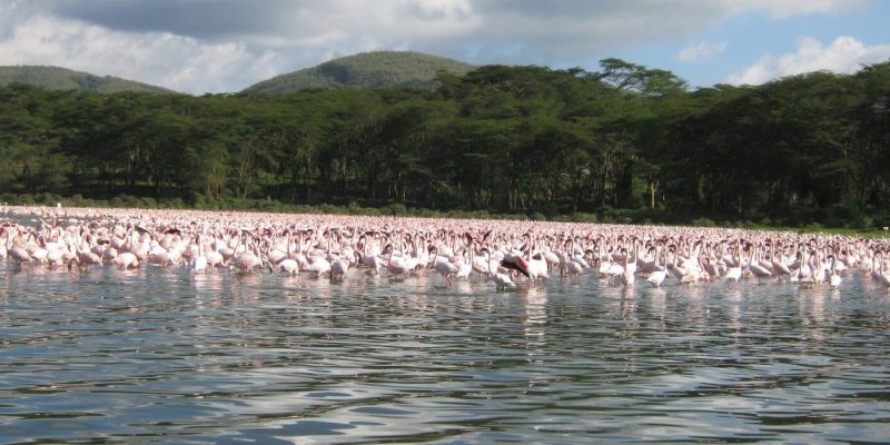 lake manyara 3