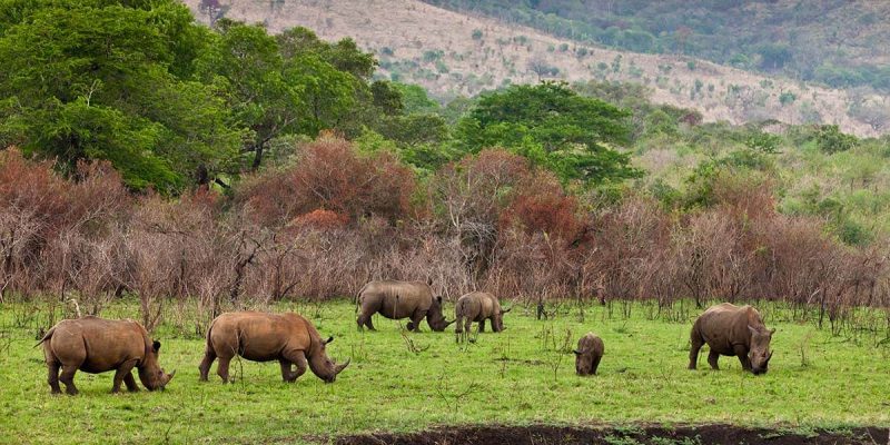 ngorongoro crater national park (1)